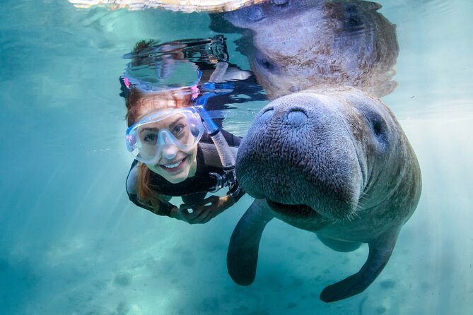 Manatee Adventure, Airboat, Lunch, Wildlife Park With Transport - Accessibility and Capacity