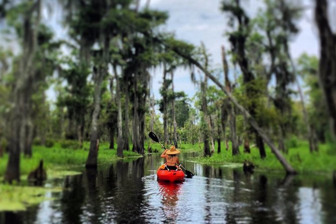 Manchac Swamp Kayak Small-Group Tour - Customer Reviews