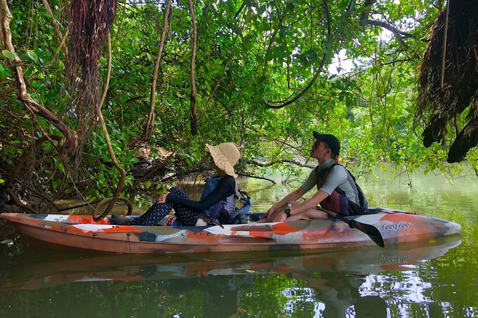 Mangrove Kayaking to Enjoy Nature in Okinawa - Cancellation Policy