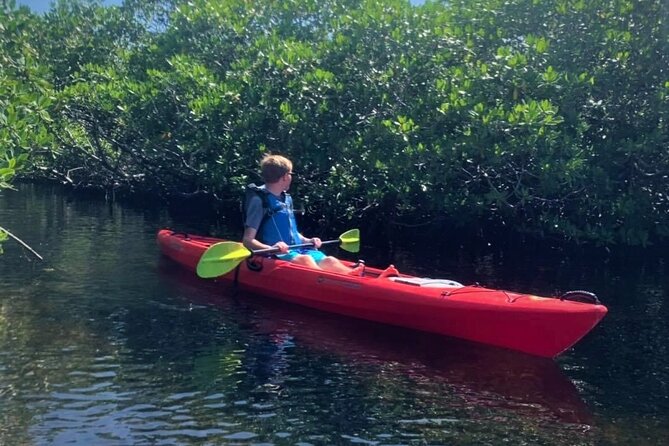 Mangrove Tunnel Kayak Adventure in Key Largo - What to Bring