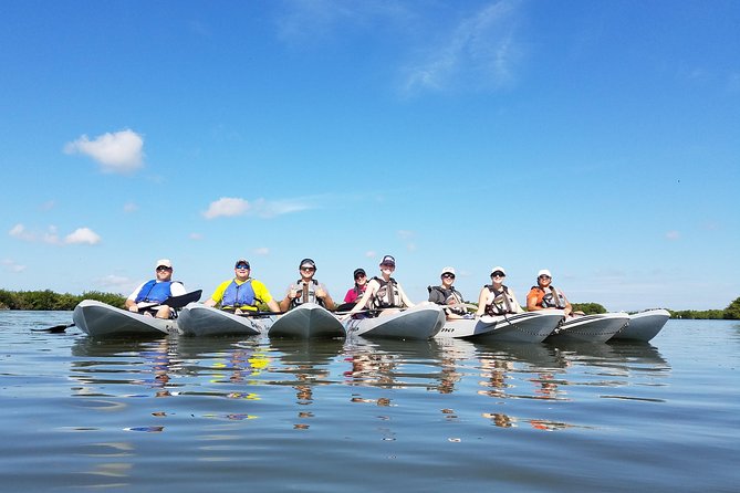 Mangrove Tunnel, Manatee and Dolphin Kayak Tour of Cocoa Beach - Kayaking Experience