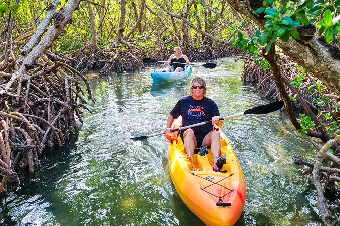 Mangroves, Manatees, and a Hidden Beach: Kayak Tour - Tour Experience