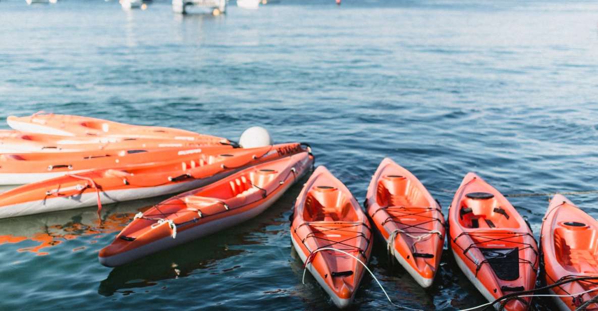 Manly: Mini Kayak Tour on Sydneys North Harbour - Includes