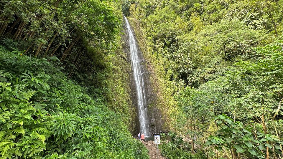 Manoa Falls Ebike to Hike - Manoa Falls Hike