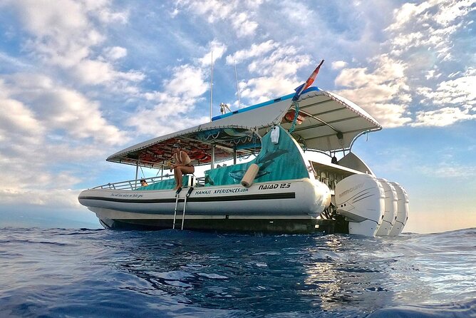 Manta Ray Snorkel Moonlight Kona Hawaii- Small Group - Experience Highlights