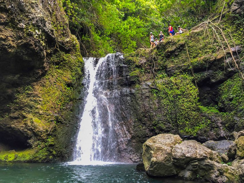 Maui: Private Jungle and Waterfalls Hiking Adventure - Activity Details