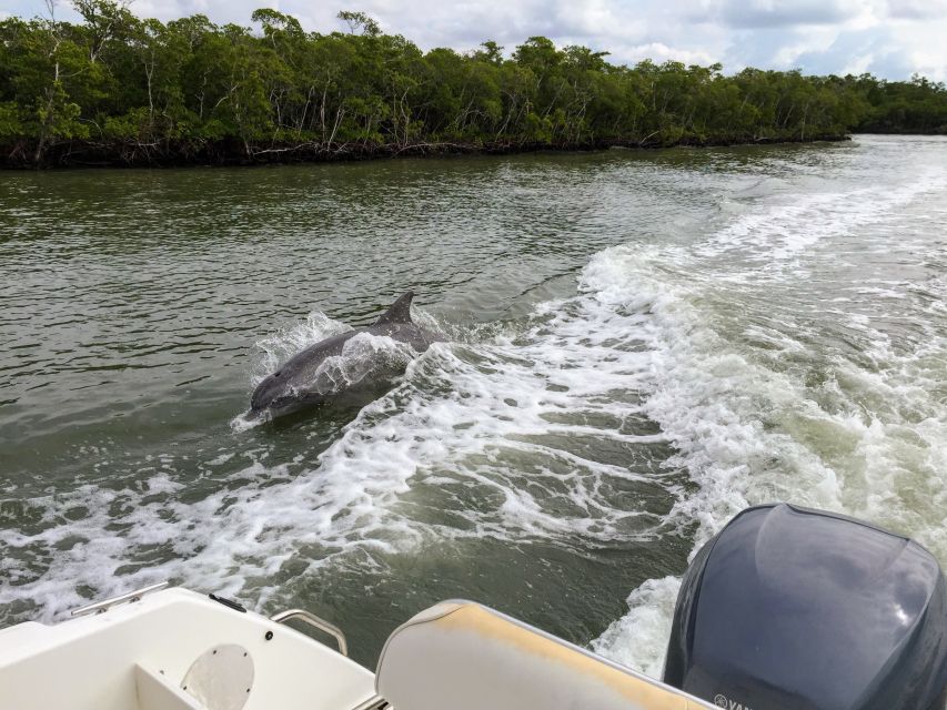 Miami: Everglades Full-Day Tour With 2 Boat Trips and Lunch - Customer Reviews