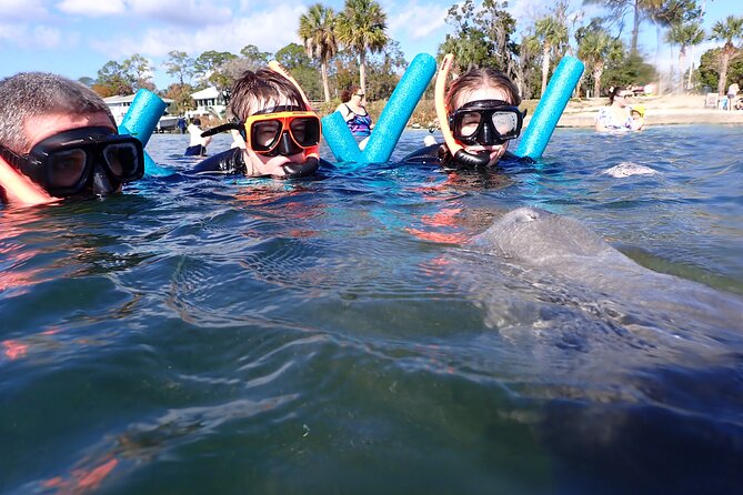 Most Popular 3hr Manatee Swim Tour + In-Water Guide! - Additional Information