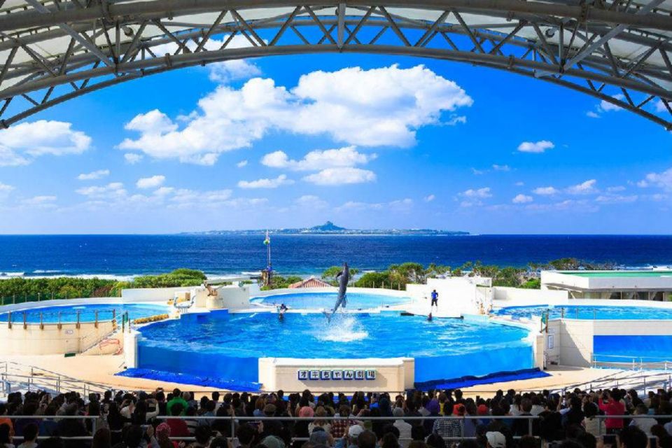 Motobu: Okinawa Churaumi Aquarium Entry E-ticket - Key Highlights
