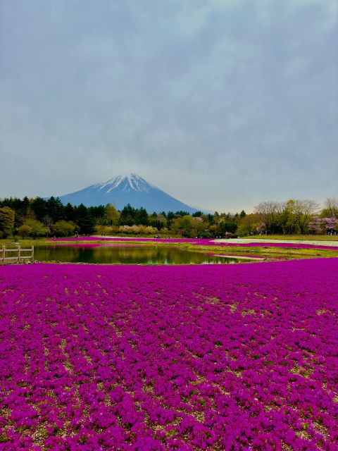 Mount Fuji Hakone With English-Speaking Guide - Activities Included