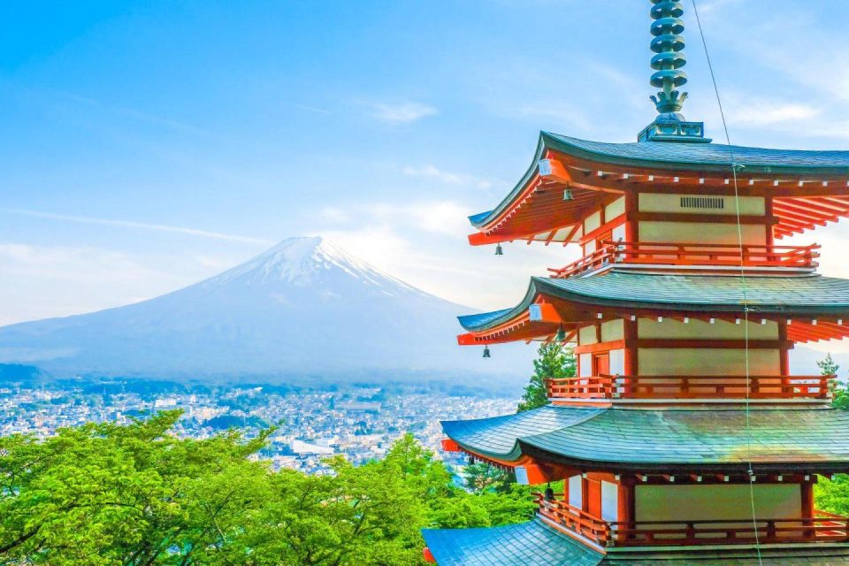 Mount Fuji Panoramic View & Shopping Day Tour - Shinjuku Exploration