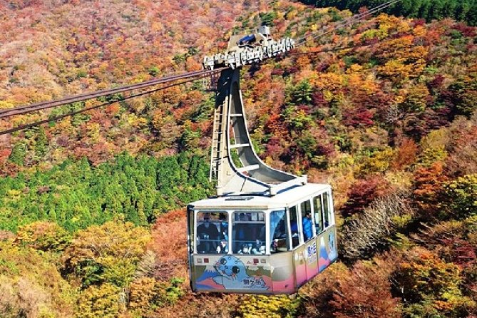 Mt Fuji, Hakone, Lake Ashi Cruise 1 Day Bus Trip From Tokyo - Additional Information