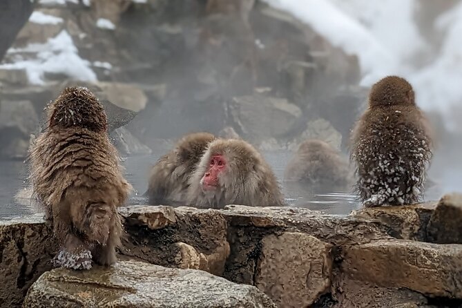 Nagano Snow Monkey 1 Day Tour With Beef Sukiyaki Lunch From Tokyo - Traditional Japanese Lunch
