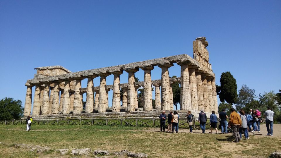 Naples: Drive to Paestum and Visit the Temples - Highlights and Description