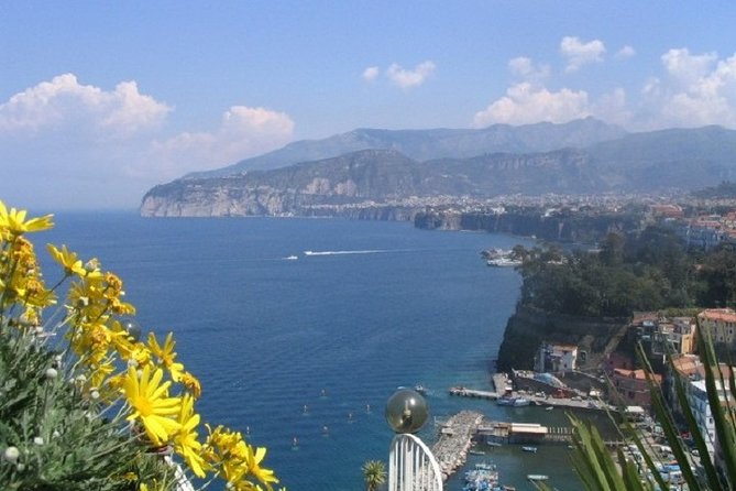 Naples Shore Excursion: Private Tour to Sorrento, Positano, and Amalfi - Optional Guide Services