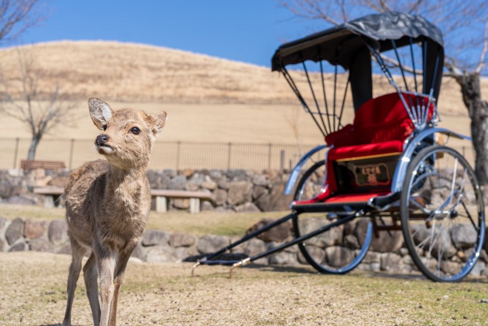 Nara: Cultural Heritage Tour by Rickshaw - Duration and Customization
