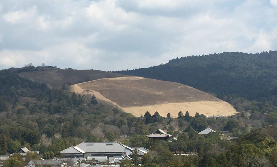 Nara: Half-Day Private Guided Tour - Todaiji Temple