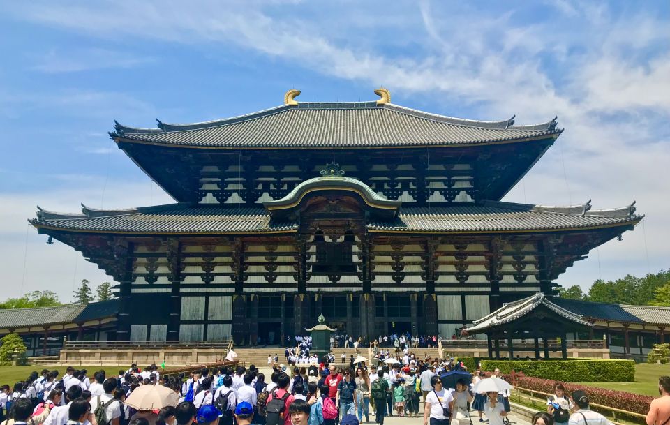 Nara: Todaiji and Nara Park (English Guide) - Highlights