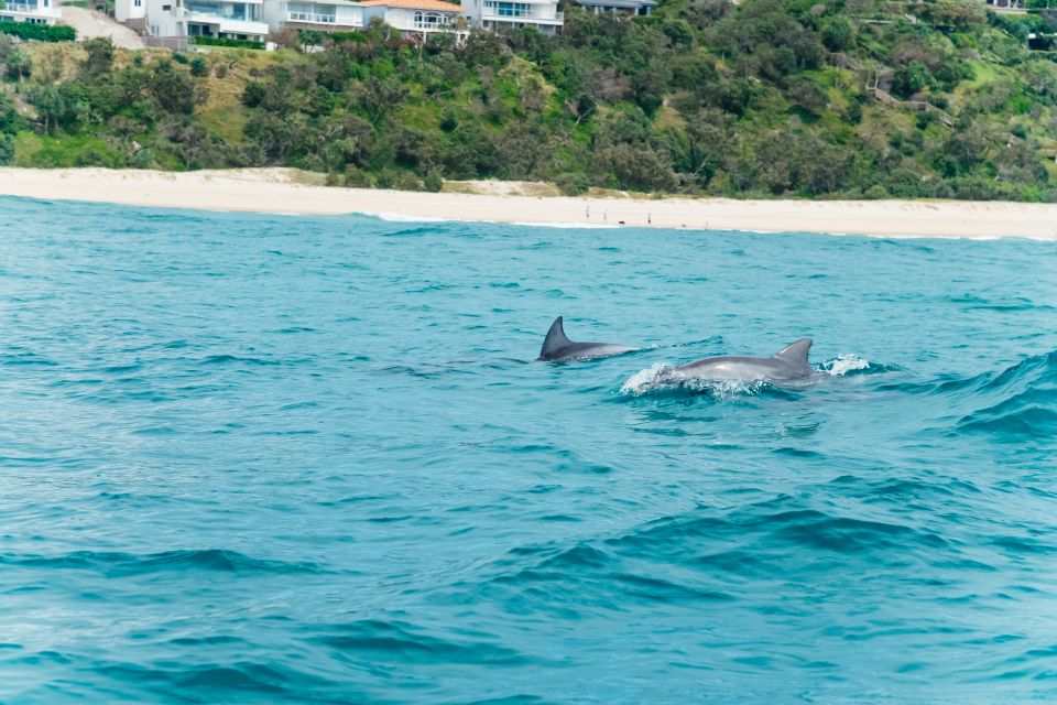 Noosa Heads: Ocean Rider Dolphin Safari - Tour Duration
