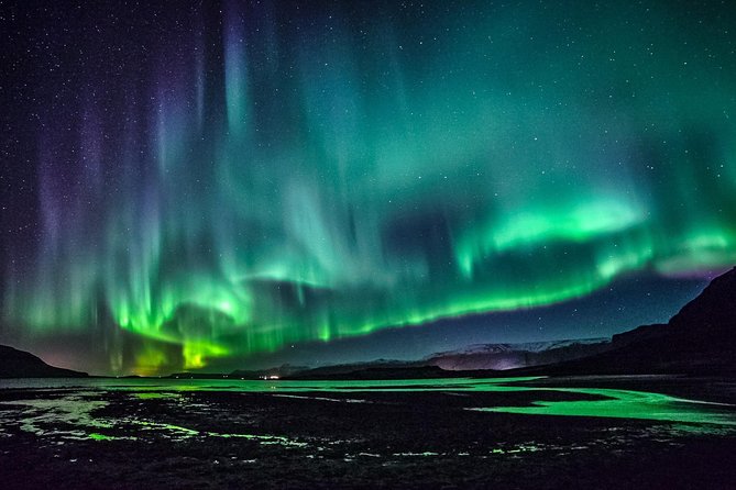 Northern Lights Small-Group Minibus Tour From Reykjavik - Expert Guidance and Amenities