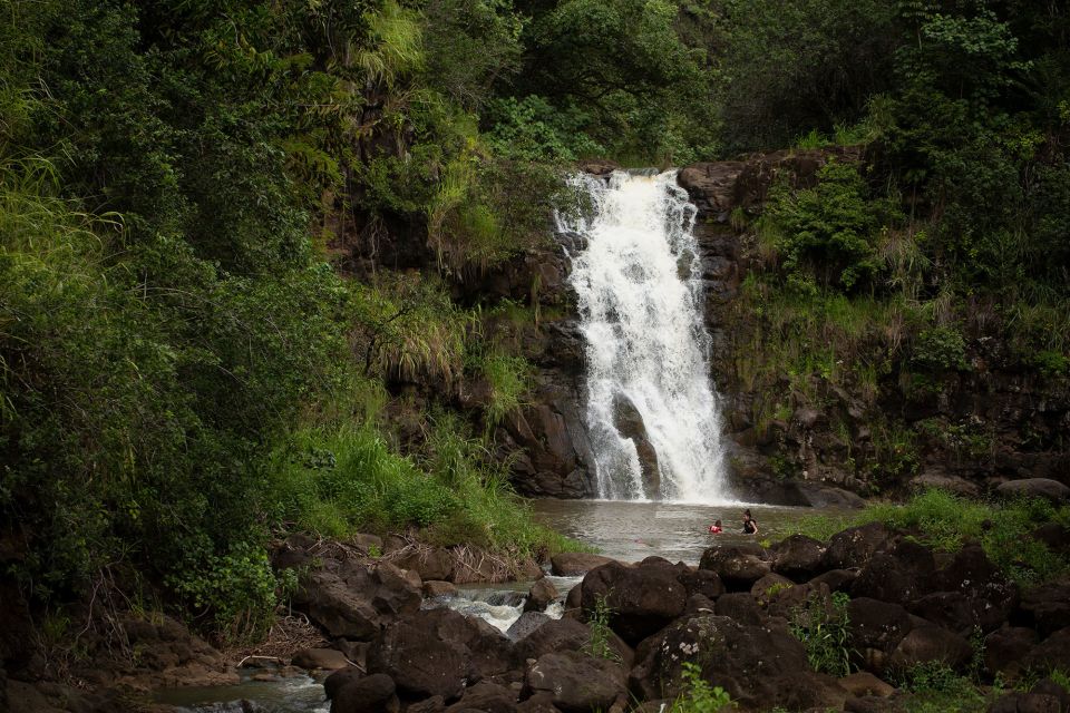 Oahu: North Shore Waterfall Swim - Tour Highlights