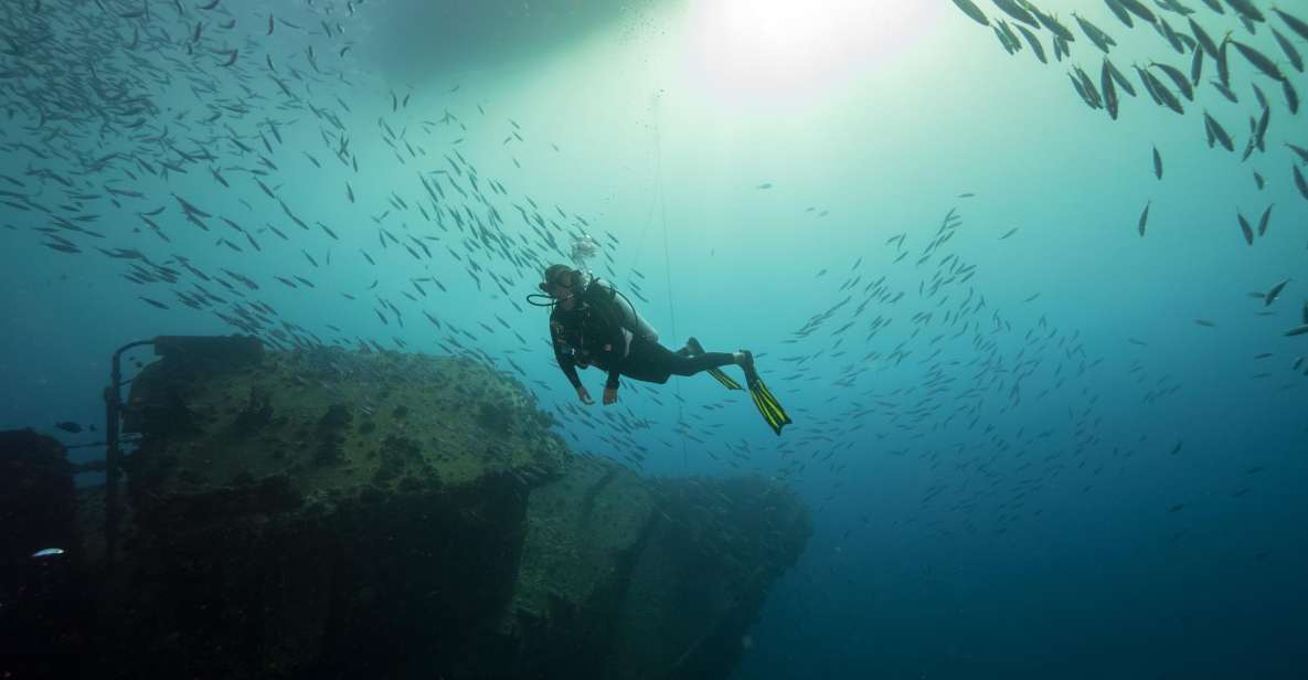 Oahu: Wreck & Reef Scuba Dive for Certified Divers - Guided Tour Details