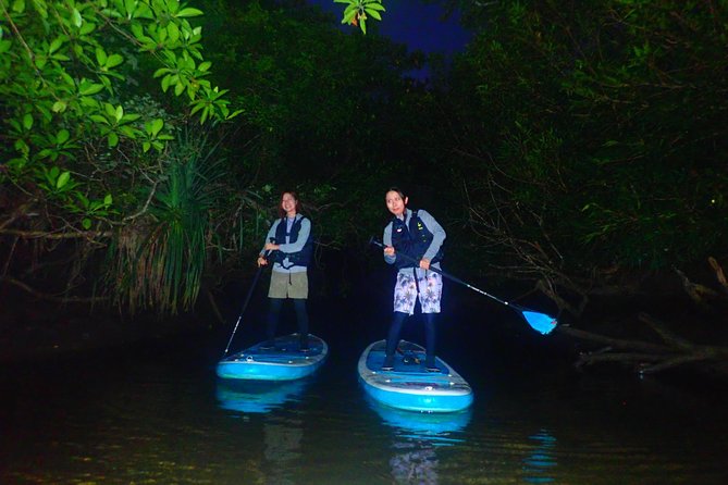 Okinawa Iriomote Night SUP/Canoe Tour in Iriomote Island - Infant and Medical Requirements