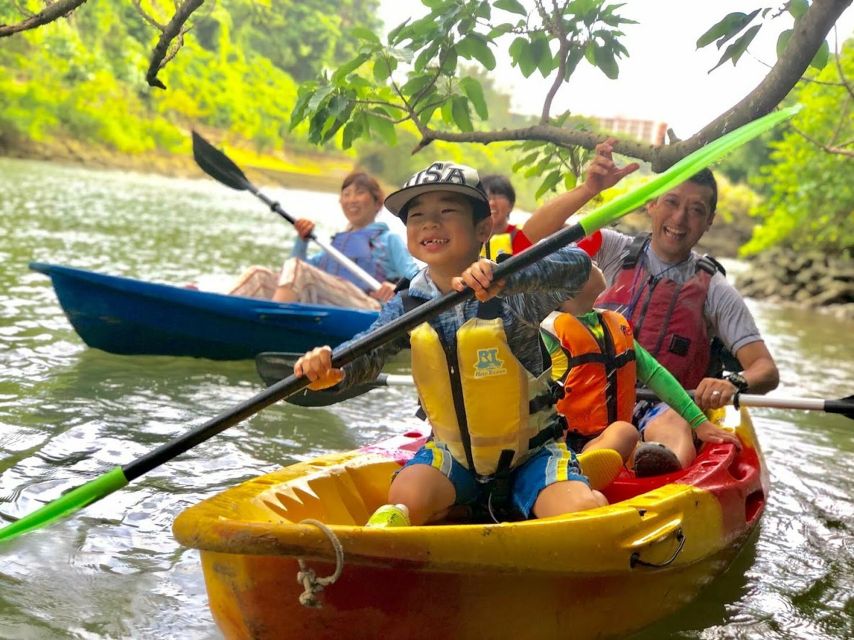 Okinawa: Mangrove Kayaking Tour - Kayaking Experience