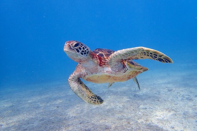 Okinawa Miyako 3-set! Beach SUP, Tropical Snorkeling, Pumpkin Limestone Cave, Canoe - Meeting and Pickup