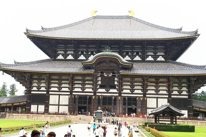 One-Day Tour of Amazing 8th Century Capital Nara - Uncovering Naras Rich Cultural Legacy