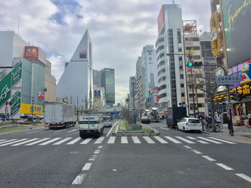 Osaka: Half-Day Private Guided Tour of Minami Modern City - Denden Town: Electronics and Pop Culture
