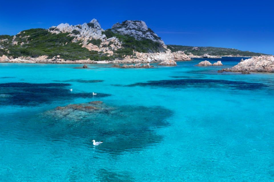 Palau: LUXURY BOAT TOUR National Park of La Maddalena - Important Information