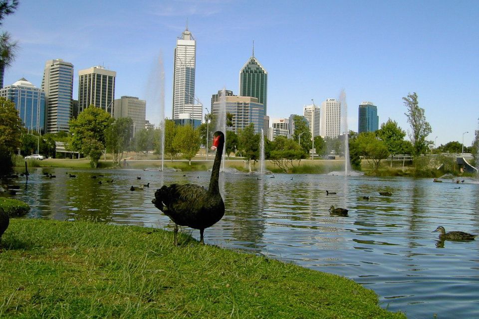Perth Riverside Segway Tour - Frequently Asked Questions