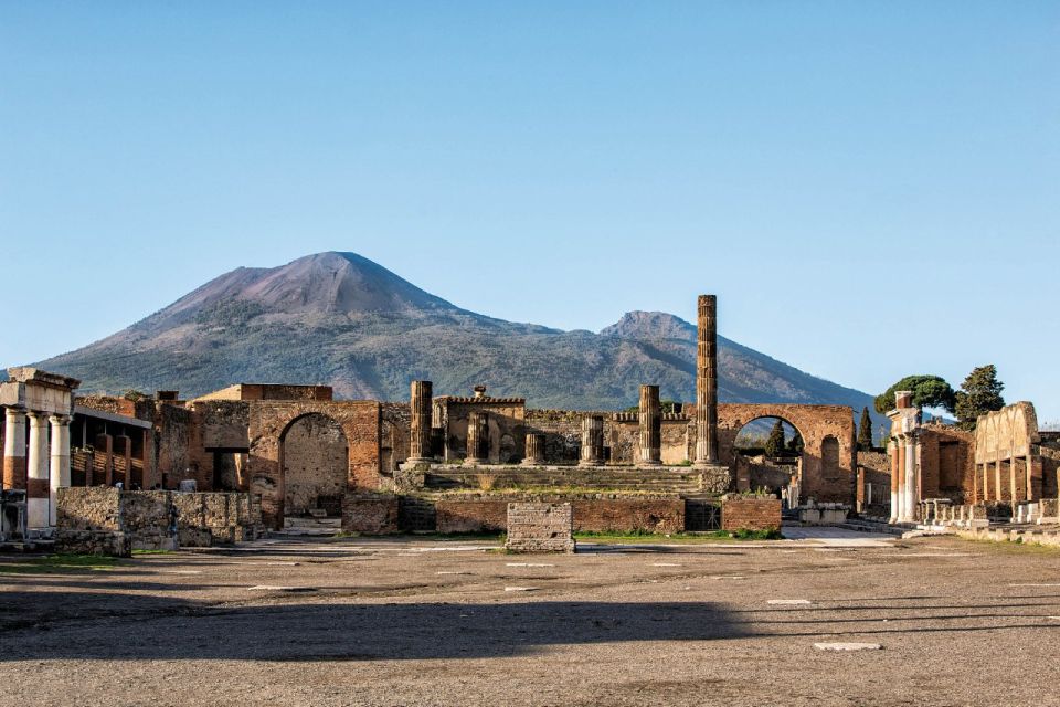 Pompei & Vesuvius Private Day With Stop Lunch in the Winery - Experience