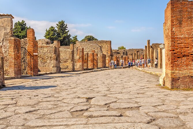 Pompeii Ticket With Optional Guided Tour - Additional Booking Information