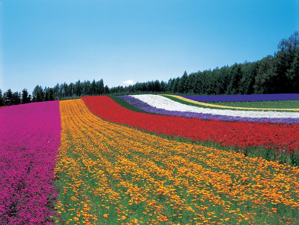 Private Car Tour of Furano and Biei in Hokkaido With Local Guide - Additional Information