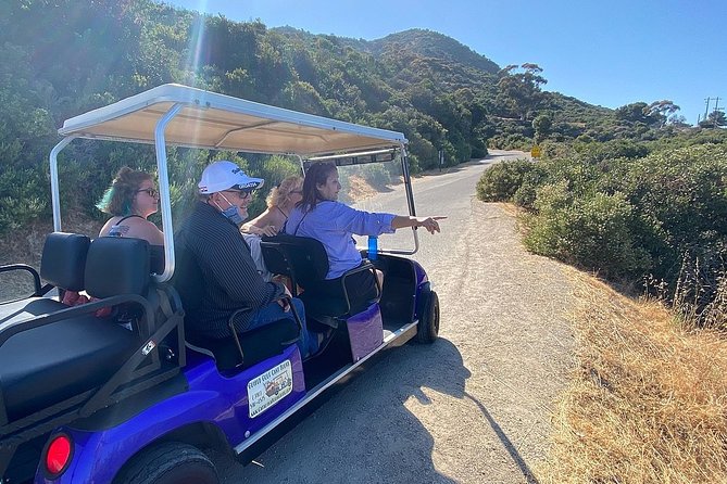 Private Guided Golf Cart Tour of Avalon - Booking Confirmation