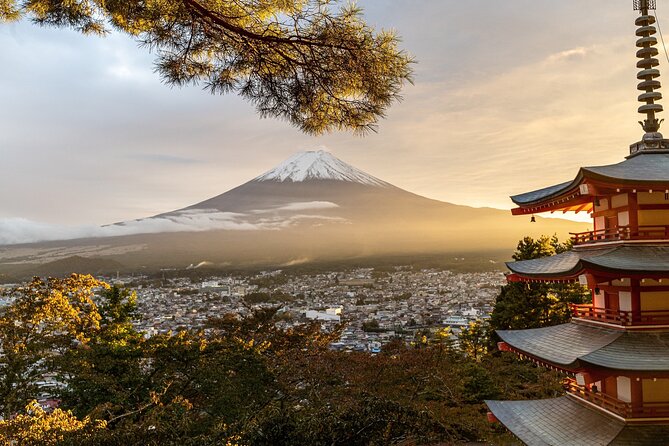 Private Tour to Mt Fuji and Hakone With English Speaking Driver - Tour Details