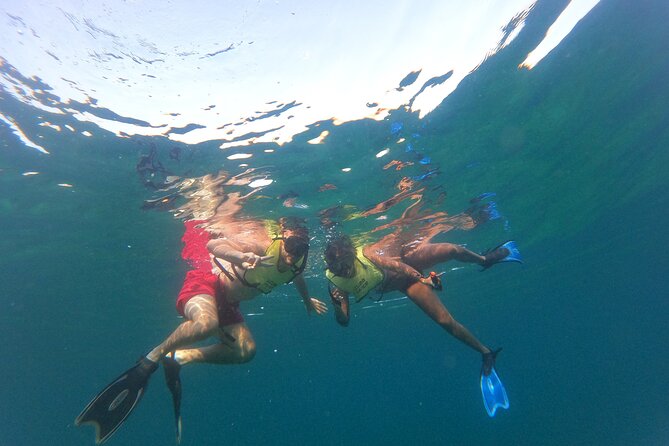 Public Guided Snorkel Tour of Fort Lauderdale Reefs - Meet Your Guides