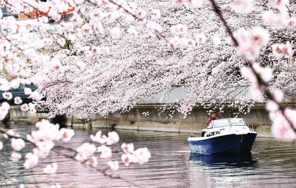 Relaxed Tokyo Bay Cruise Enjoy Your Own Food & Drinks at Sea - Onboard Facilities and Conveniences