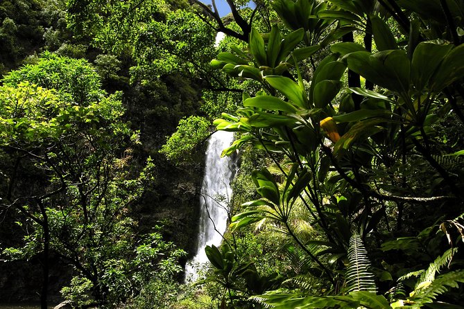 Road to Hana Luxury Limo-Van Tour With Helicopter Flight - Additional Details