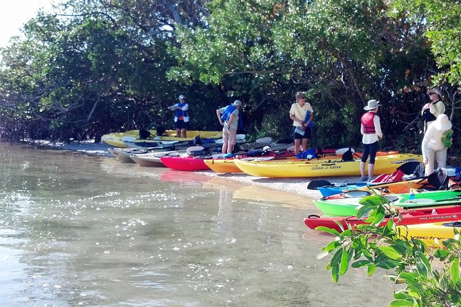 Sarasota Guided Mangrove Tunnel Kayak Tour - Location Details
