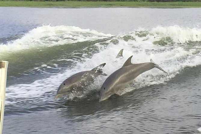 Savannah to Tybee Island With Dolphin Cruise - Cancellation Policy