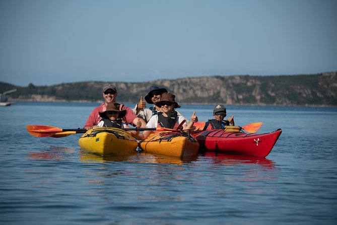 Sea Kayaking in Navarino Bay - Wildlife Spotting