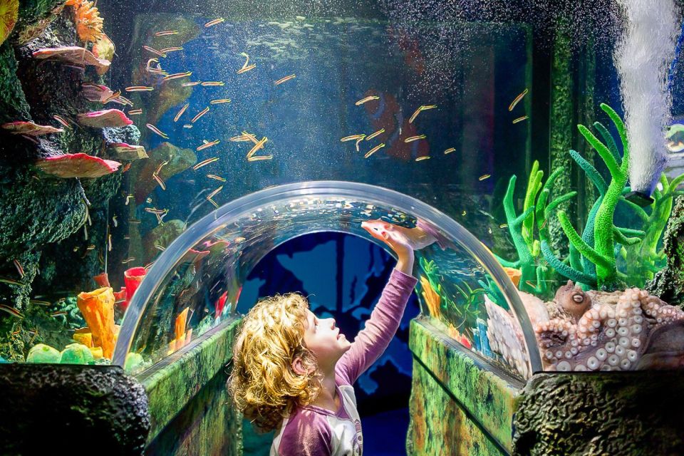 SEA LIFE Sydney Aquarium - Ticket Details and Experience Highlights