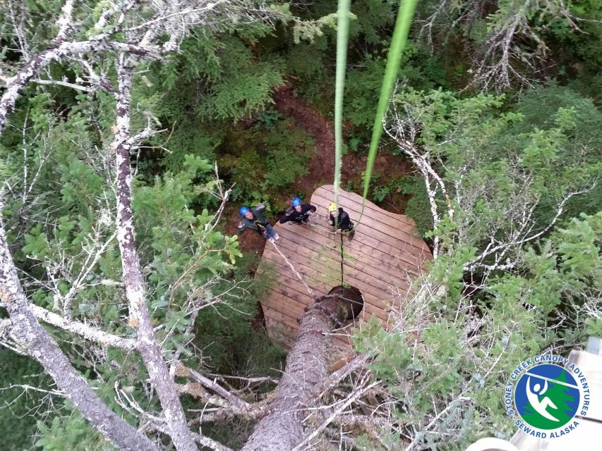 Seward: Stoney Creek Canopy Tour With Zipline - Participant Requirements