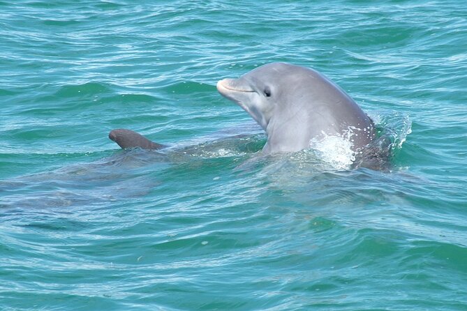 Shallow Water Snorkeling and Dolphin Watching in Key West - Onboard Amenities and Refreshments