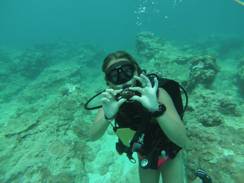 Shore Discover Scuba Diving Experience - Classroom Instruction and Pool Skills