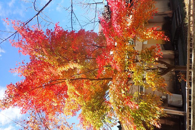 Short Morning Cycling Tour in Hida - Tour Accessibility