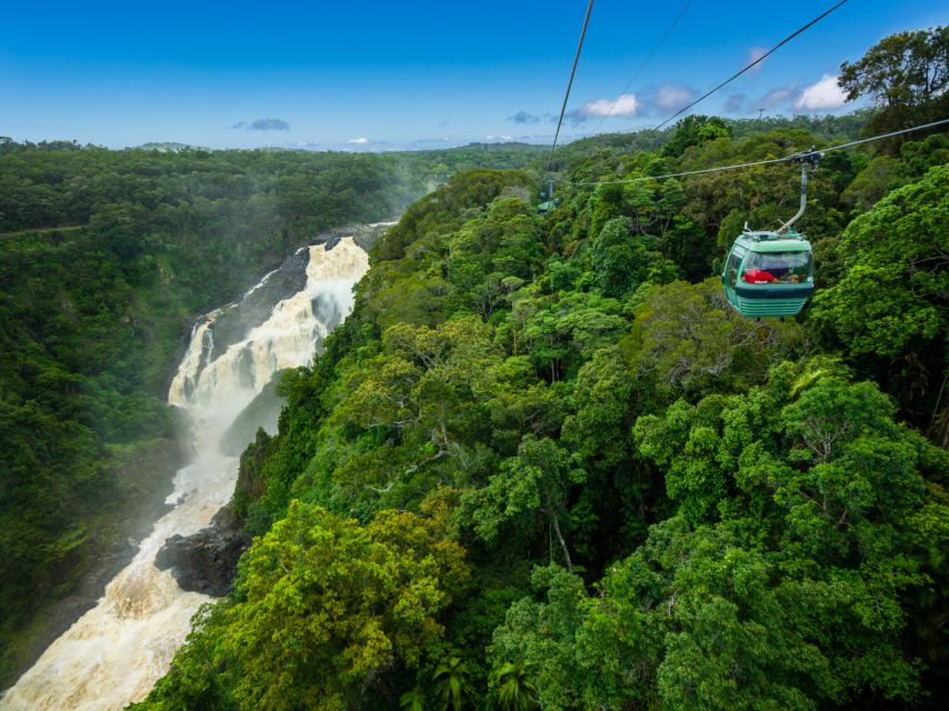 Skyrail Rainforest Cableway Round-Trip Experience - Upgrade Option